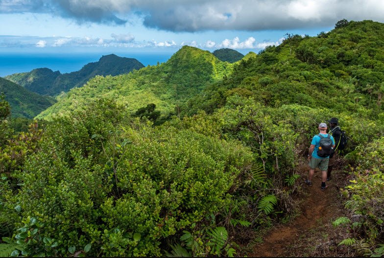 Mount Qua Qua Trail, Grand Etang, St. Andrew, Grenada